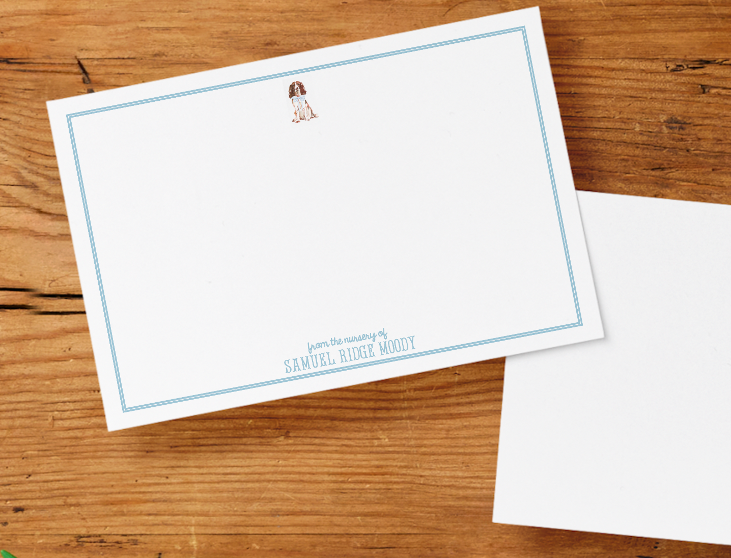 Stationery Cards + Envelopes
